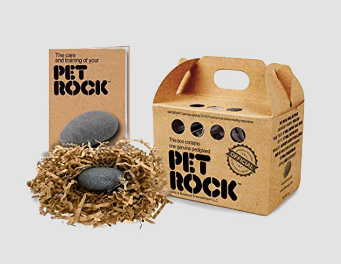 There was a Pet Rock when I was a kid.