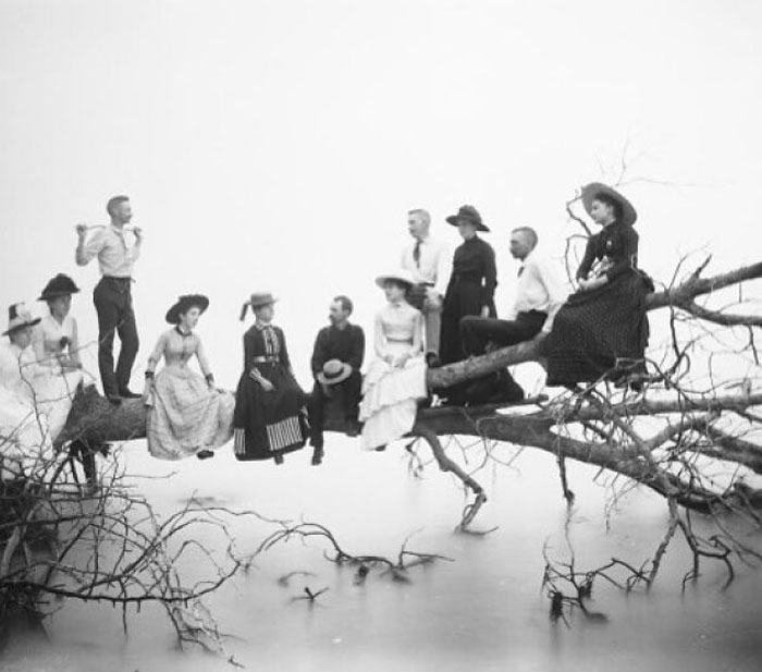 ‘Blackbirds’, A Group Of Men And Women Sitting In A Fallen Tree. Photograph By Louis Milton Thiers C1910