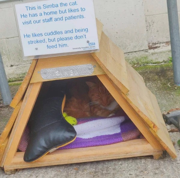 30 Unusual Things People Spotted.