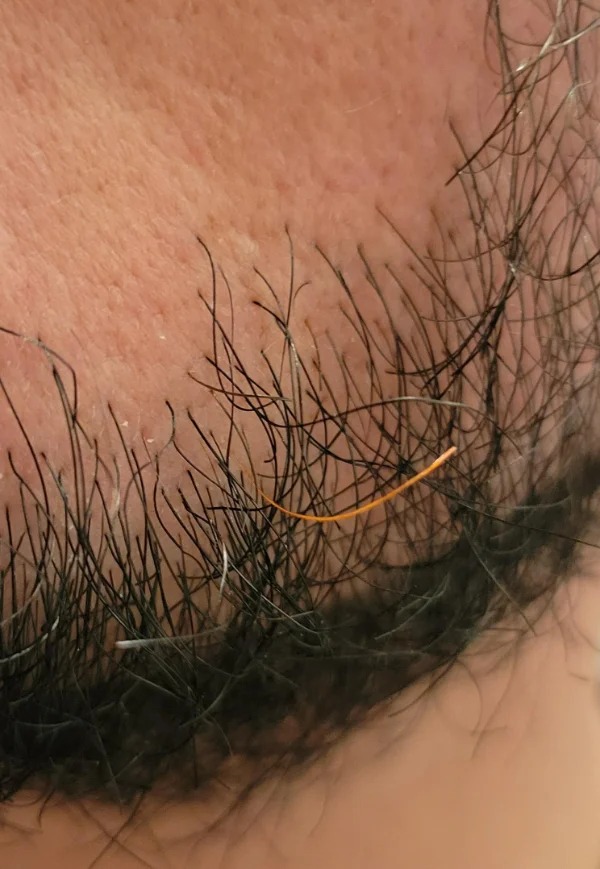 30 Unusual Things People Spotted.