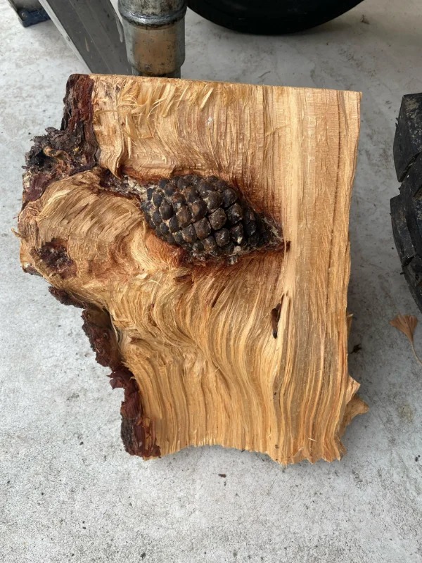 30 Unusual Things People Spotted.