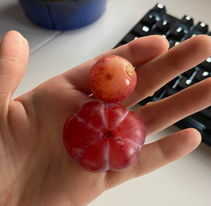 30 Unusual Things People Spotted.