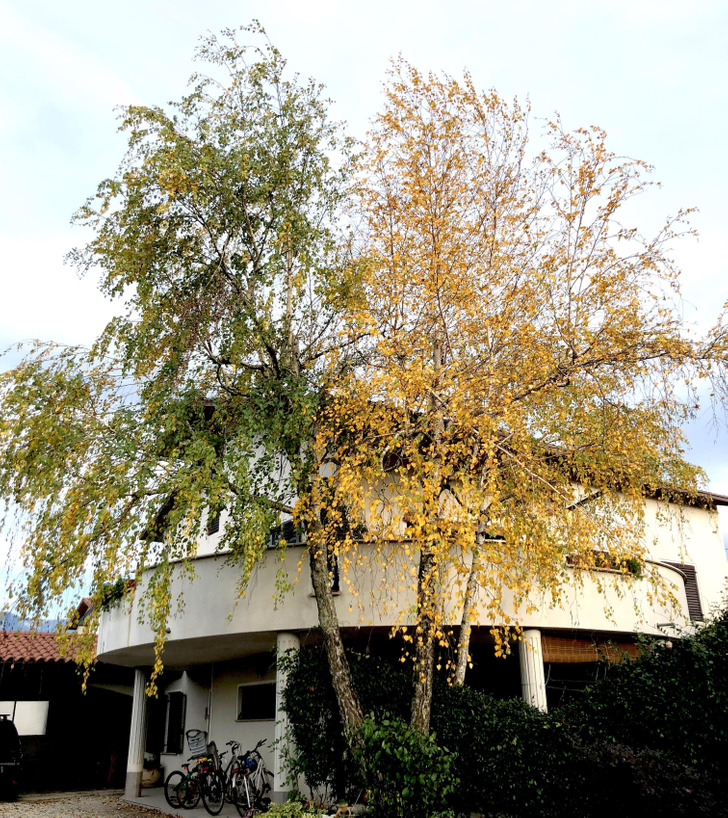 30 Unusual Things People Spotted.