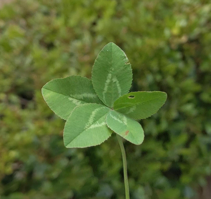 30 Unusual Things People Spotted.