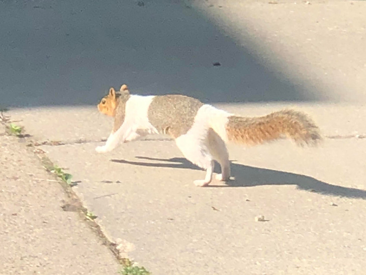 30 Unusual Things People Spotted.