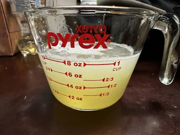 fascinating photos - drink - Xono pyrex 48 oz 16 oz 44 oz 12 oz Cup 423 413 12