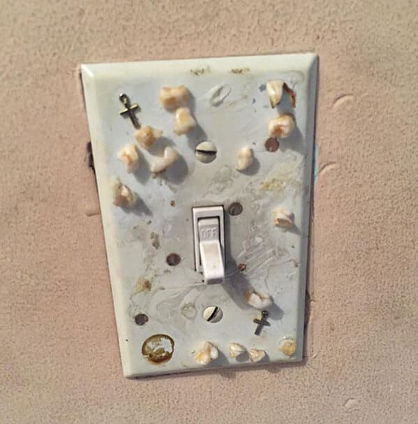 “A Friend Who Is A Realtor Turned On The Light Switch For Clients When Viewing A House And Almost Ran Out Of The House”