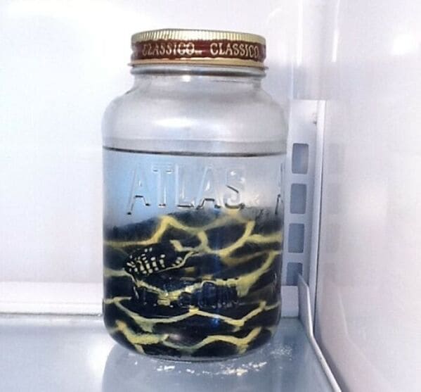 “I Checked Into My Airbnb Apartment In Seattle Today And Saw This When I Opened The Fridge”