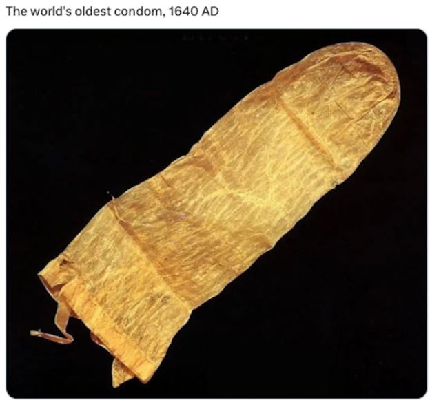 40 Photos From History Not Many Have Seen.