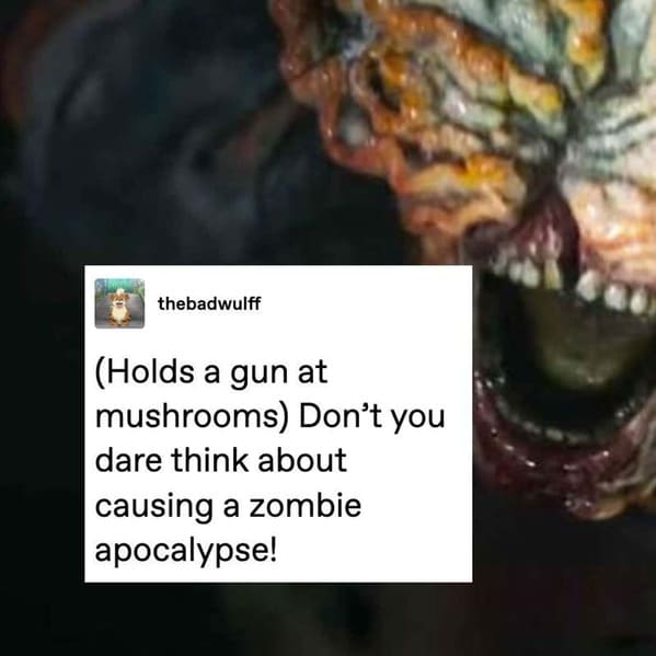 dark sense of humor - thebadwulff Holds a gun at mushrooms Don't you dare think about causing a zombie apocalypse!
