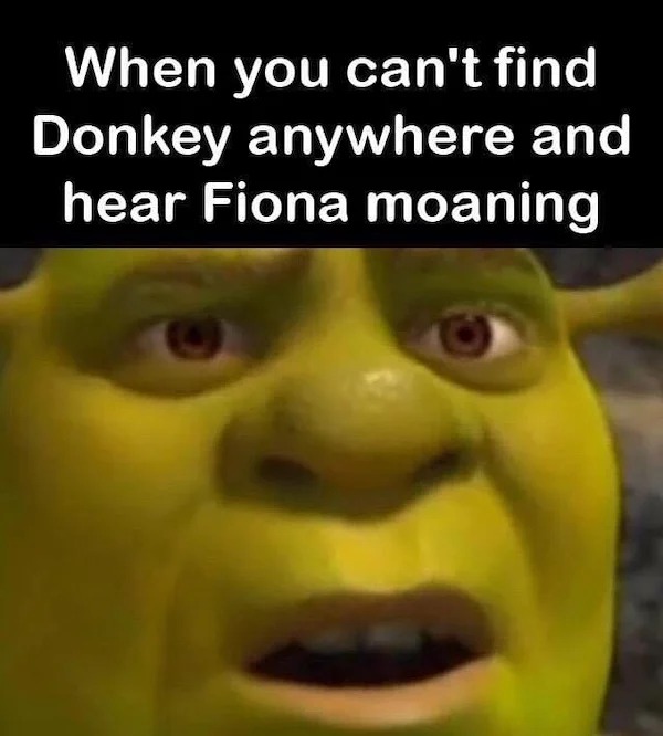spicy memes - wtf moments memes - When you can't find Donkey anywhere and hear Fiona moaning