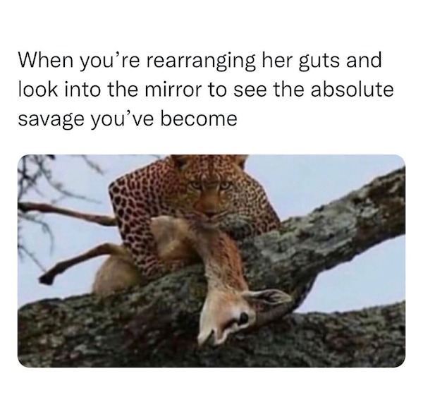 fauna - When you're rearranging her guts and look into the mirror to see the absolute savage you've become