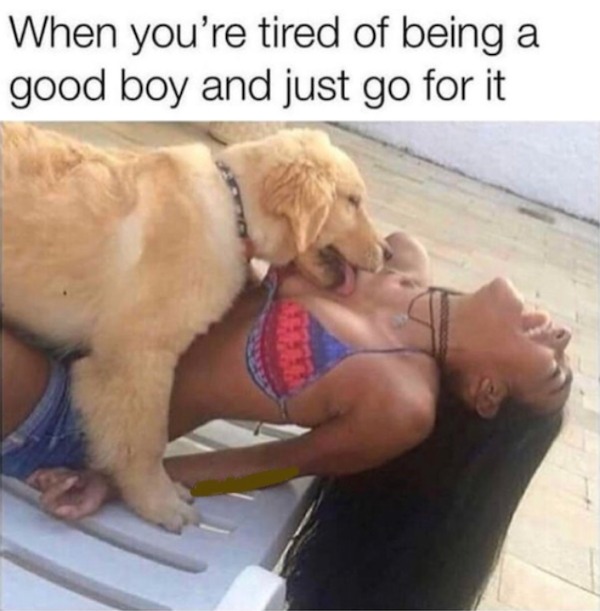 you re tired of being a good boy and just go for it - When you're tired of being a good boy and just go for it