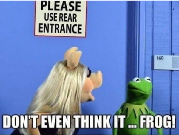 spicy memes - funny muppet memes - Please Use Rear Entrance 160 Don'T Even Think It... Frog!
