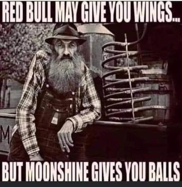 relatable memes and pics - red bull may give you wings but moonshine gives you balls - Red Bull May Give You Wings... M But Moonshine Gives You Balls