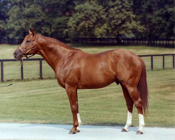"Even in the 2022 Kentucky Derby, 19/22 entered horses can trace lineage to Secretariat."