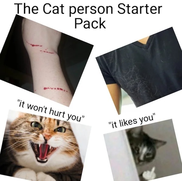 17 Starter Pack That Just Make Sense.