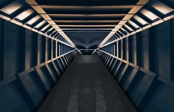 30 Random Facts To Feed Your Brain.