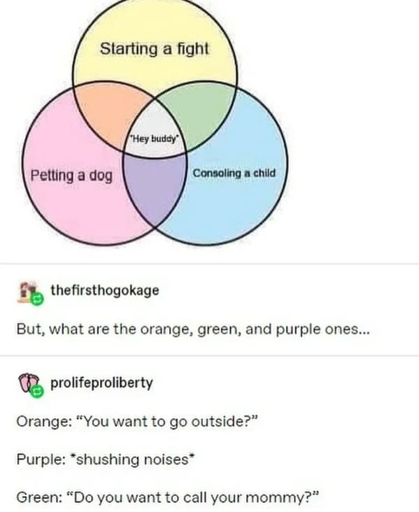 starting a fight petting a dog consoling - Starting a fight Petting a dog "Hey buddy thefirsthogokage Consoling a child But, what are the orange, green, and purple ones... prolifeproliberty Orange "You want to go outside?" Purple shushing noises Green "Do