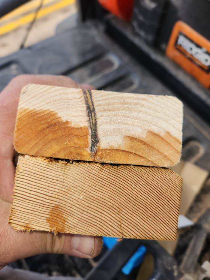 This is what a cross-section of wood from the 1950s looks like compared with a cross-section of wood from today:

The modern wood is on top, the 1950s wood on bottom.