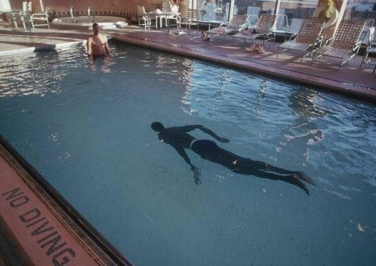 This is what the late 7-foot-7-inch NBA legend Manute Bol looked like while swimming in a typical swimming pool:

Now we need to see Muggsy Bogues swimming in the pool for comparison.