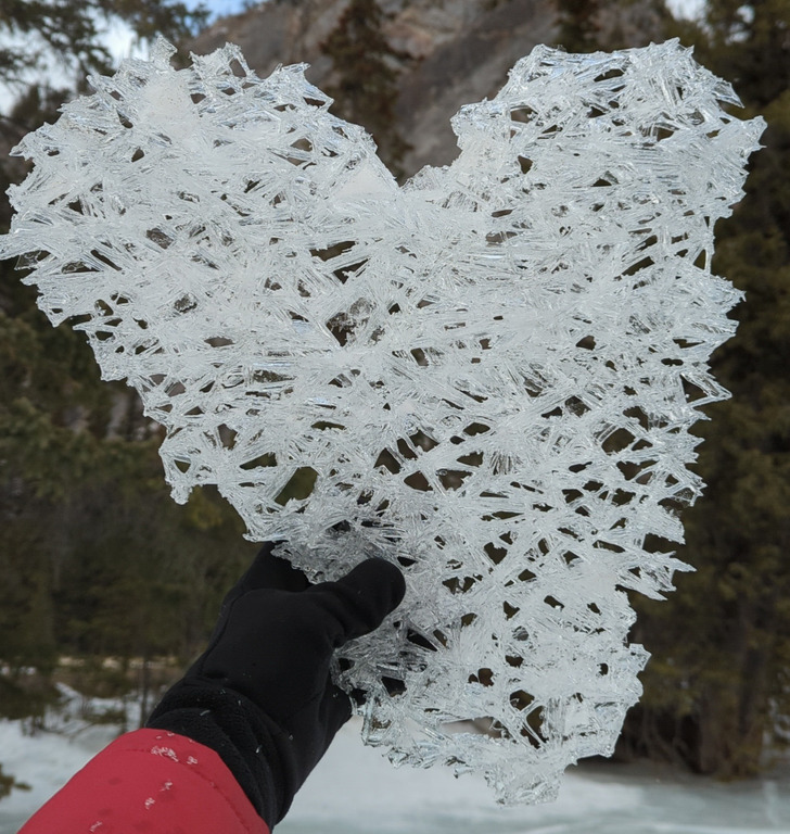 “An interesting piece of ice I found in the shape of a heart”