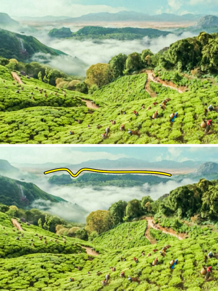 Life of Pi is full of a sense of unity between people and nature. Both scientists and ordinary viewers agree on that. Some shots in this film are even more symbolic than they look. Movie fans found a human outline in the green mountains and hills.