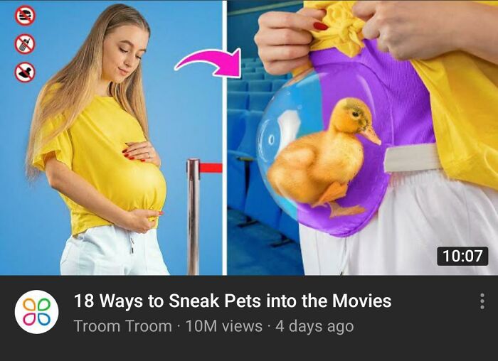 Awful Life hacks - Ways to Sneak Pets into the Movies