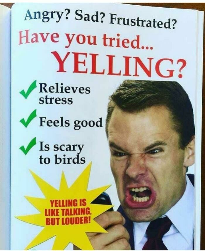 Awful Life hacks - human resources memes - Angry? Sad? Frustrated? Have you tried... Yelling? Relieves stress Feels good Is scary to birds Yelling Is Talking, But Louder!