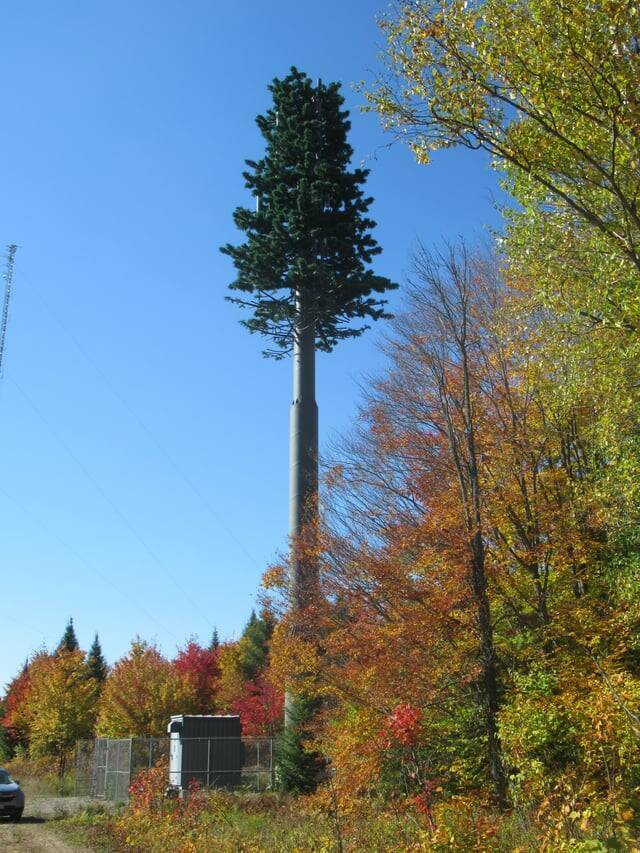 "Some cell towers are disguised as trees"