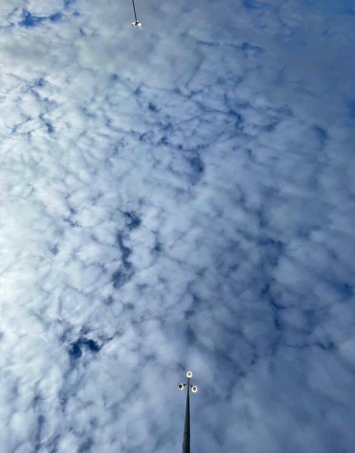 “View of streetlights from my moonroof.”