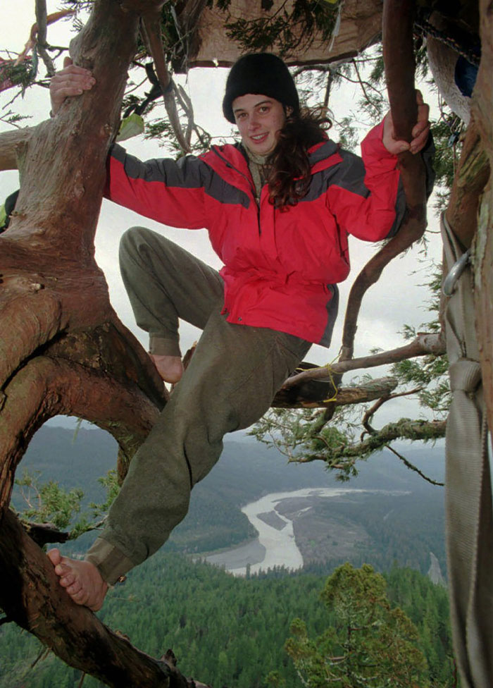 Environmental activist Julia “Butterfly” Hill lived in a 1500-year-old California redwood tree (known as Luna) 180 feet (55 m) off the ground for 738 days in order to prevent it from being chopped down by Pacific Lumber Company. She successfully saved the tree.