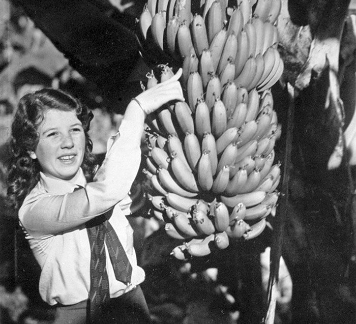 in the 1800’s bananas were seen as “immoral fruit” because of their shape. Fruit companies began issuing postcards of women eating bananas to advertise the fruit wasn’t taboo.