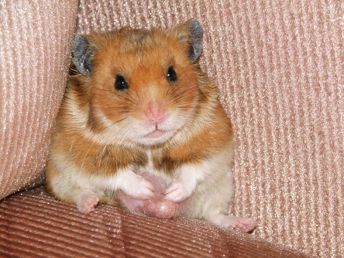 32 Moments People Realized They Were Stupid.