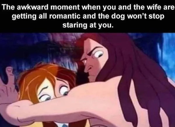 spicy memes - you re rearranging her guts - The awkward moment when you and the wife are getting all romantic and the dog won't stop staring at you. M