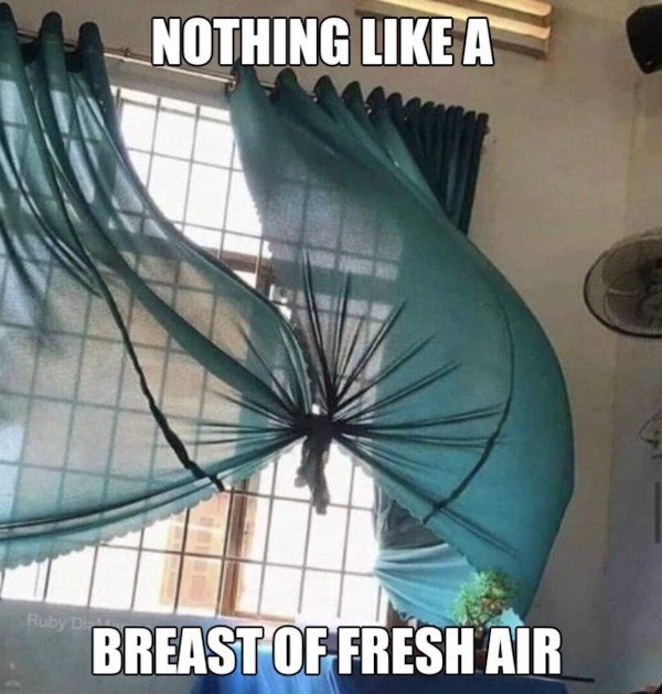 spicy memes - Ruby Di Nothing A Breast Of Fresh Air