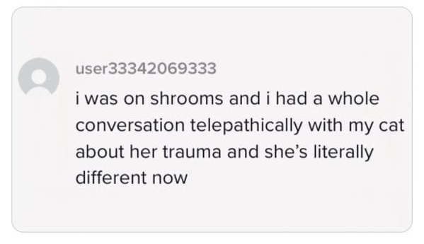 35 Bizarre And Hilarious TikTok Comments.