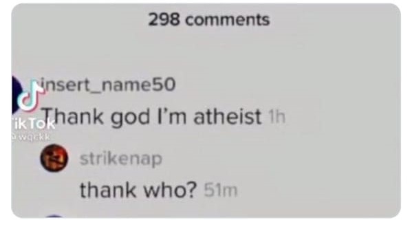 35 Bizarre And Hilarious TikTok Comments.