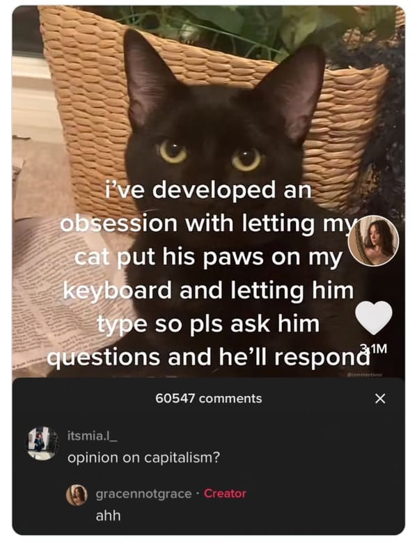 35 Bizarre And Hilarious TikTok Comments.