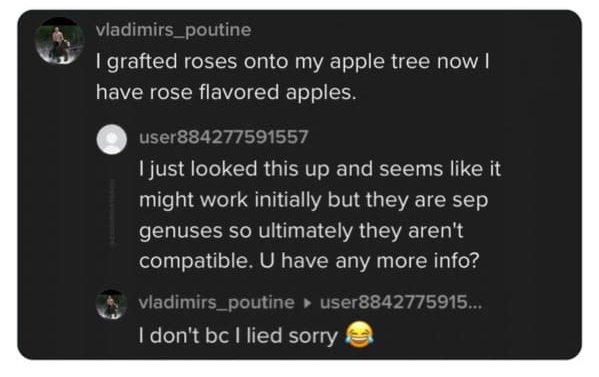 35 Bizarre And Hilarious TikTok Comments.