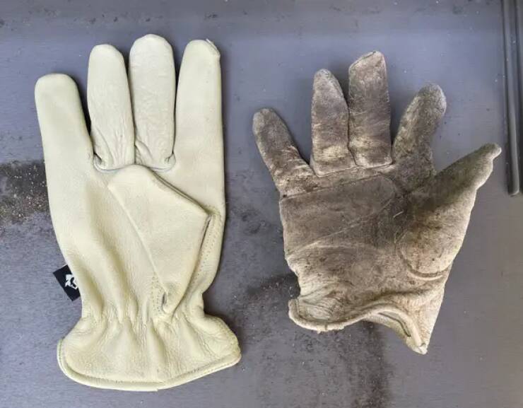 A new gardening glove vs. a glove that's helped birth many plants: