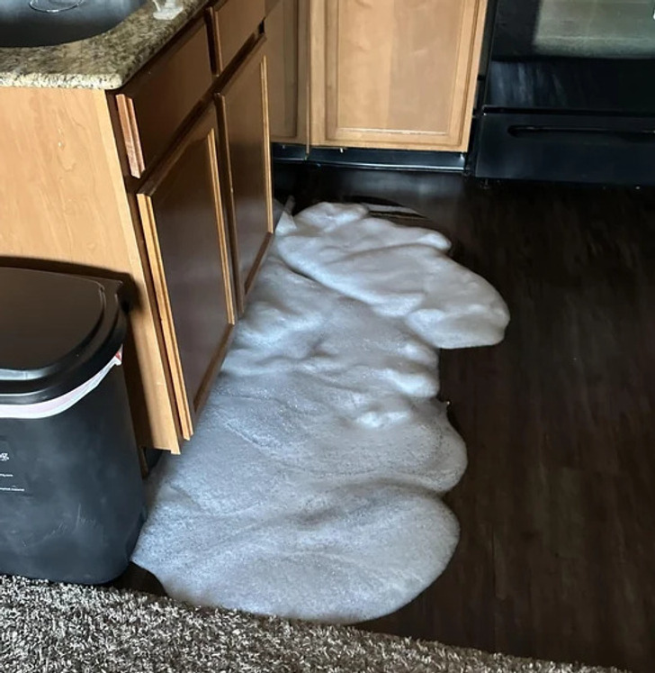 “Well... Dish soap is not meant for the dishwasher I guess.”