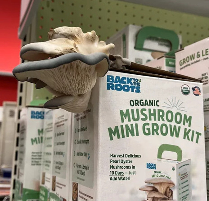 “This mushroom kit growing on the store shelf”