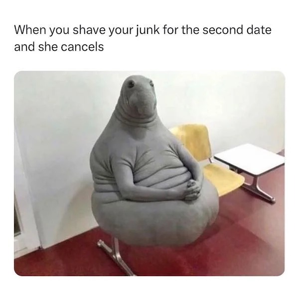 spicy memes - When you shave your junk for the second date and she cancels