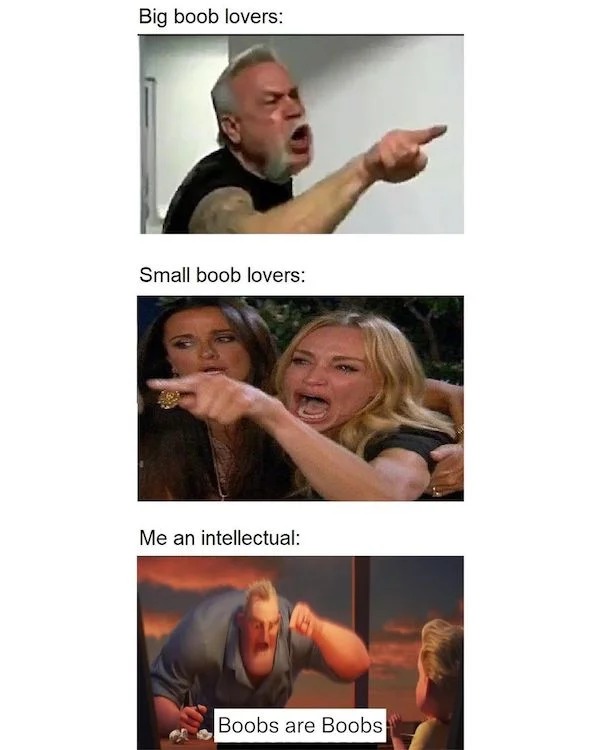 spicy memes - photo caption - Big boob lovers Small boob lovers Me an intellectual Boobs are Boobs