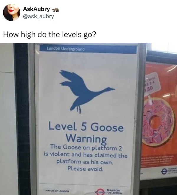 funny tweets -  level 5 goose warning - AskAubry How high do the levels go? London Underground Level 5 Goose Warning The Goose on platform 2 is violent and has claimed the platform as his own. Please avoid. Mayor Of London Transport For London Ten Ls 26 1