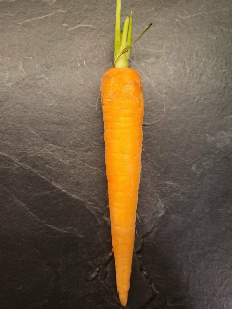 "I just found a cartoon-accurate carrot."