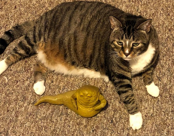 30 Pics That May Make You Question Everything.