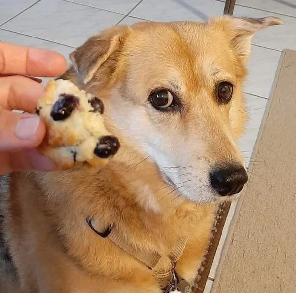 30 Pics That May Make You Question Everything.