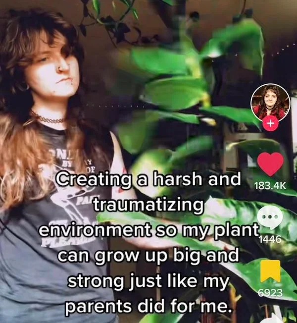 deranged tiktok screenshots - photo caption - Nl Ly Creating a harsh and traumatizing environment so my plant, can grow up big and strong just my parents did for me. 1446 6923